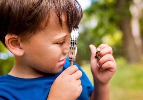 Focusing Kindergarten Students on Life Skills